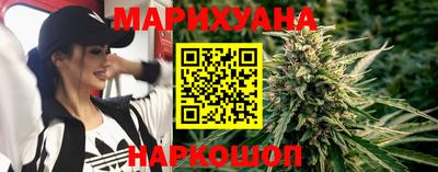 сатива Нальчик