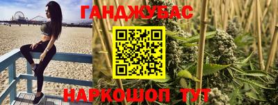 сатива Нальчик