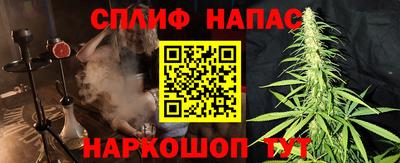 сатива Нальчик