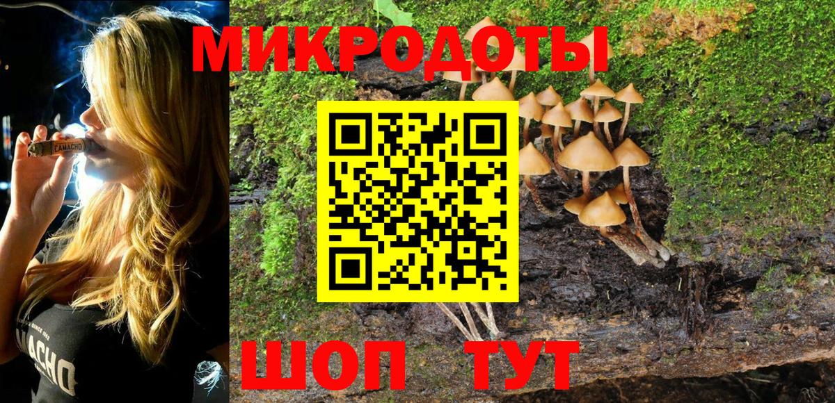 Псилоцибиновые грибы мицелий Тимашёвск
